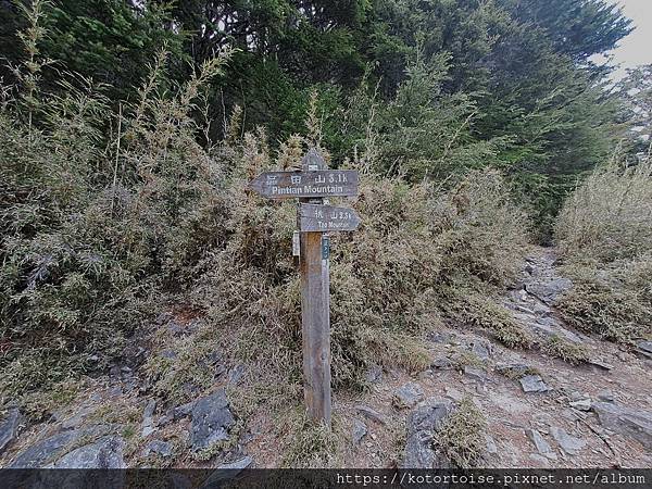 [台灣/台中] 2024.4 武陵二秀品田池有 兩天一夜 (