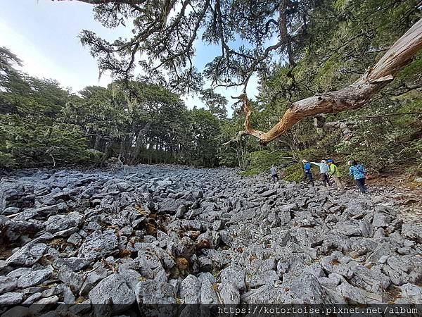 [台灣/台中] 2024.4 武陵二秀品田池有 兩天一夜 (