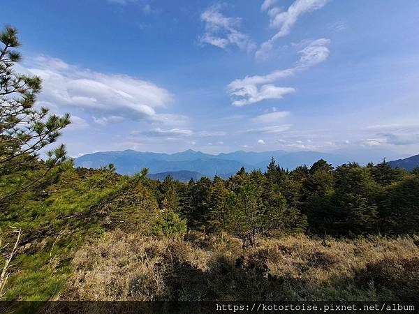 [台灣/台中] 2024.4 武陵二秀品田池有 兩天一夜 (