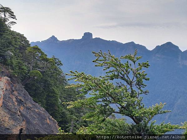 [台灣/台中] 2024.4 武陵二秀品田池有 兩天一夜 (