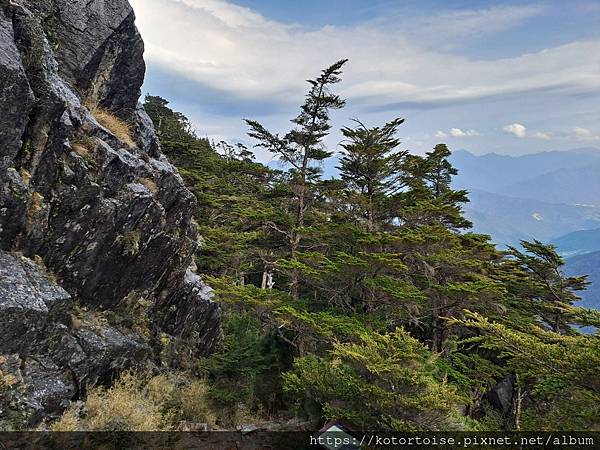 [台灣/台中] 2024.4 武陵二秀品田池有 兩天一夜 (