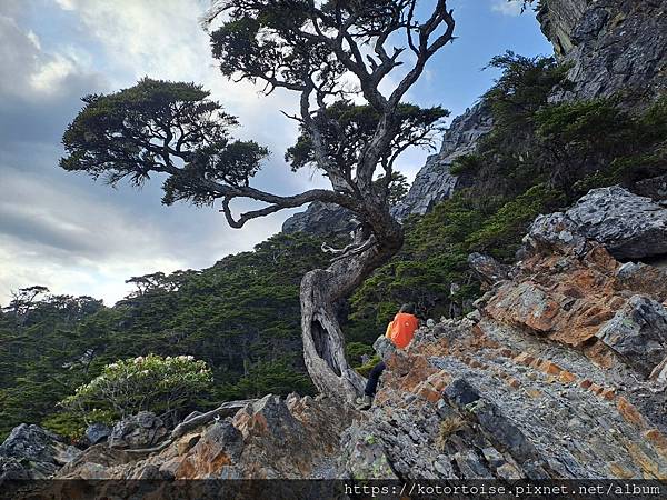 [台灣/台中] 2024.4 武陵二秀品田池有 兩天一夜 (