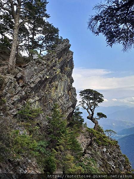 [台灣/台中] 2024.4 武陵二秀品田池有 兩天一夜 (