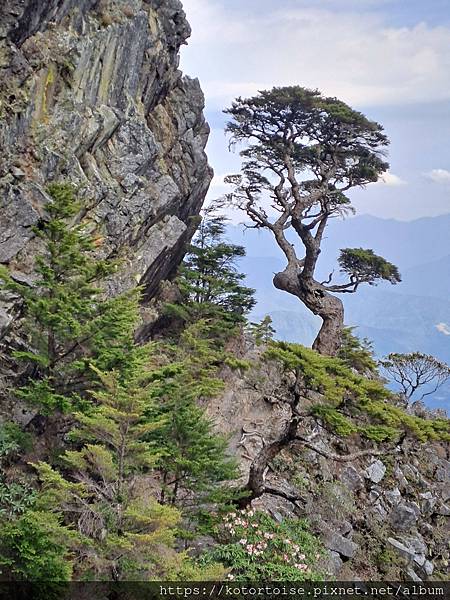 [台灣/台中] 2024.4 武陵二秀品田池有 兩天一夜 (