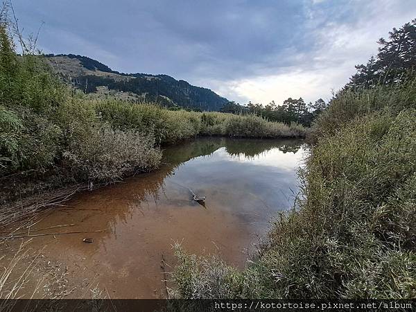[台灣/台中] 2024.4 武陵二秀品田池有 兩天一夜 (