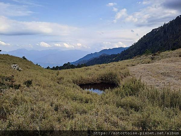 [台灣/台中] 2024.4 武陵二秀品田池有 兩天一夜 (