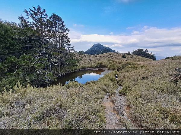 [台灣/台中] 2024.4 武陵二秀品田池有 兩天一夜 (