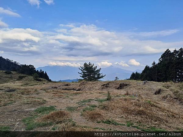 [台灣/台中] 2024.4 武陵二秀品田池有 兩天一夜 (