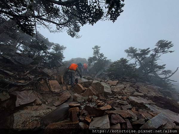 [台灣/台中] 2024.4 武陵二秀品田池有 兩天一夜 (