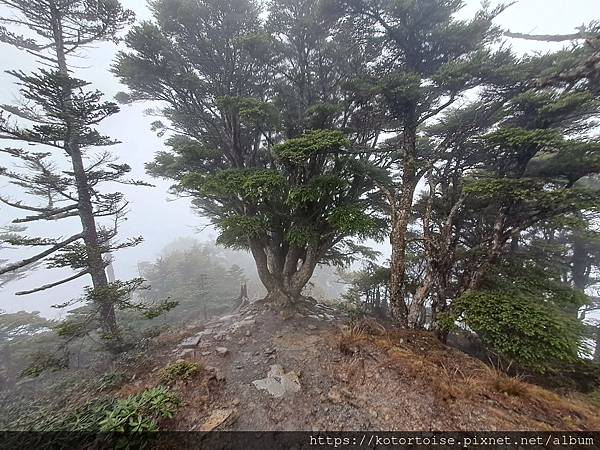 [台灣/台中] 2024.4 武陵二秀品田池有 兩天一夜 (