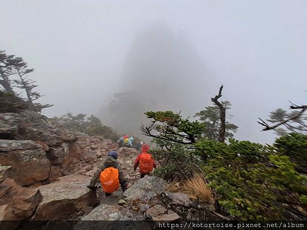 [台灣/台中] 2024.4 武陵二秀品田池有 兩天一夜 (