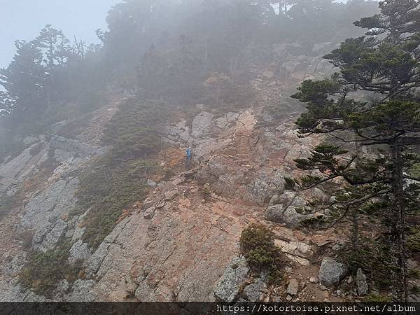 [台灣/台中] 2024.4 武陵二秀品田池有 兩天一夜 (
