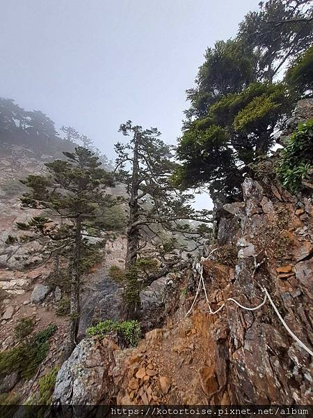 [台灣/台中] 2024.4 武陵二秀品田池有 兩天一夜 (