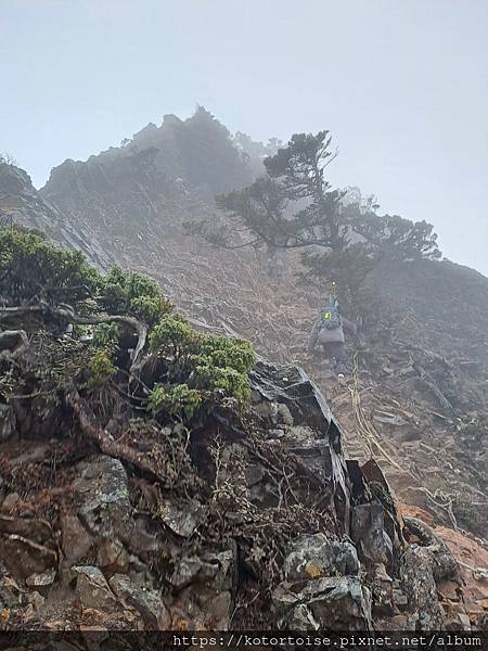 [台灣/台中] 2024.4 武陵二秀品田池有 兩天一夜 (