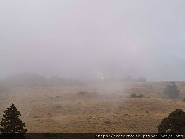 [台灣/台中] 2024.4 武陵二秀品田池有 兩天一夜 (