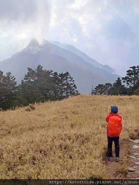 [台灣/台中] 2024.4 武陵二秀品田池有 兩天一夜 (