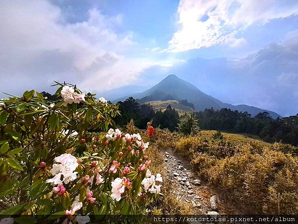 [台灣/台中] 2024.4 武陵二秀品田池有 兩天一夜 (