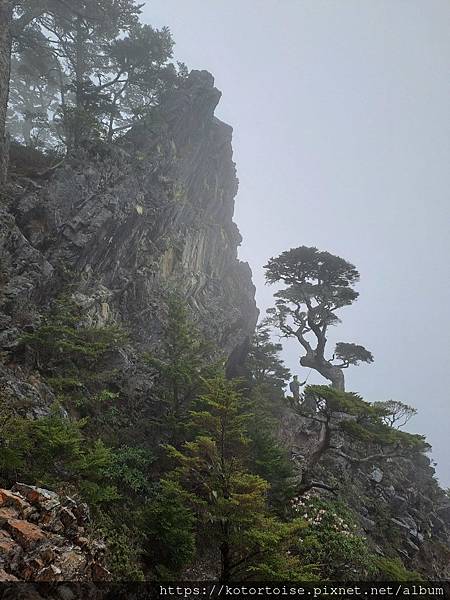 [台灣/台中] 2024.4 武陵二秀品田池有 兩天一夜 (