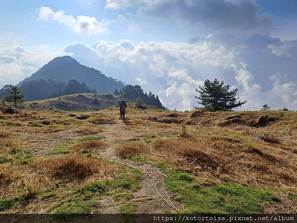 [台灣/台中] 2024.4 武陵二秀品田池有 兩天一夜 (