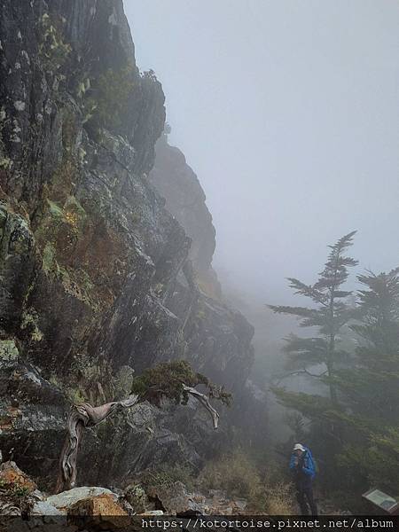 [台灣/台中] 2024.4 武陵二秀品田池有 兩天一夜 (