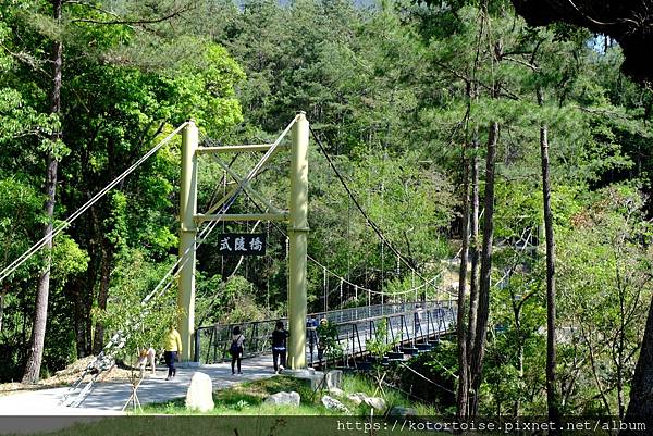 [台灣/台中] 2024.4 武陵二秀品田池有 兩天一夜 (