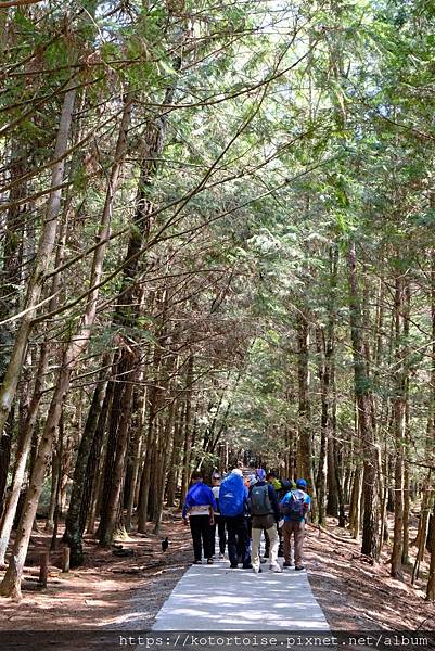 [台灣/台中] 2024.4 武陵二秀品田池有 兩天一夜 (