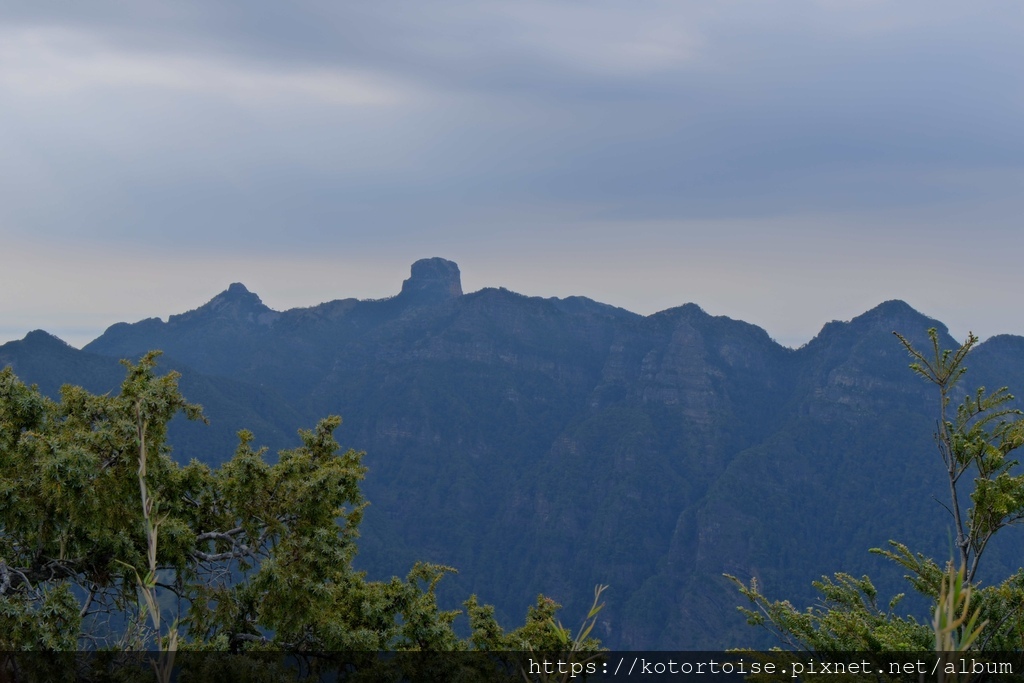 [台灣/台中] 2024.4 武陵二秀品田池有 兩天一夜 (