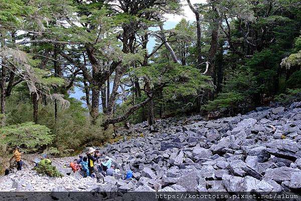 [台灣/台中] 2024.4 武陵二秀品田池有 兩天一夜 (