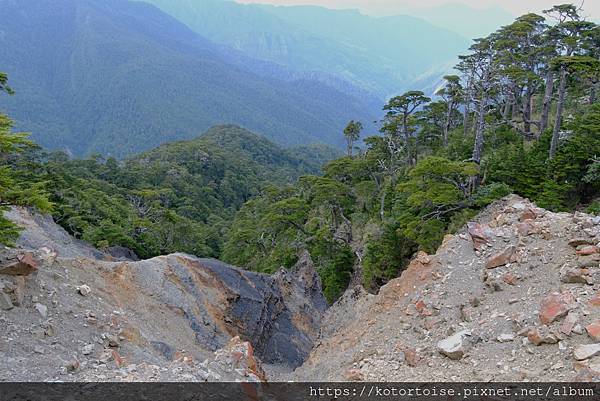 [台灣/台中] 2024.4 武陵二秀品田池有 兩天一夜 (