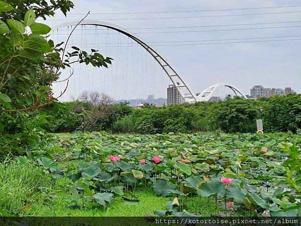 [台灣] 2024.5 腳踏車分段環島第一段 (上): 新店