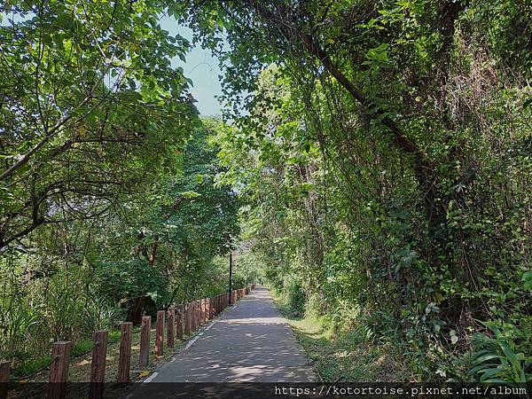 [台灣] 2024.5 腳踏車分段環島第一段 (上): 新店