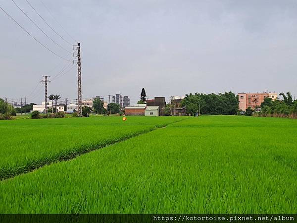 [台灣] 2024.5 腳踏車分段環島第一段 (上): 新店