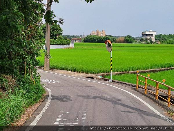 [台灣] 2024.5 腳踏車分段環島第一段 (上): 新店
