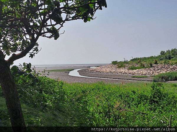 [台灣] 2024.5 腳踏車分段環島第一段 (上): 新店