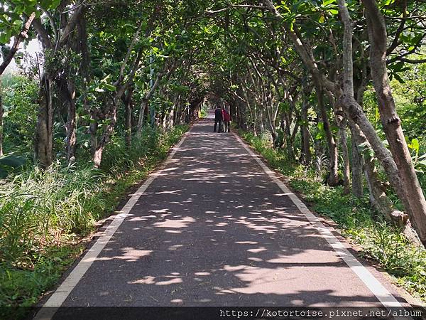 [台灣] 2024.5 腳踏車分段環島第一段 (上): 新店