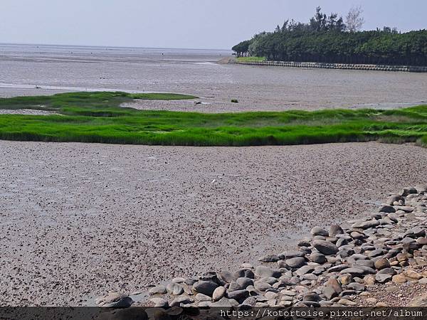 [台灣] 2024.5 腳踏車分段環島第一段 (上): 新店