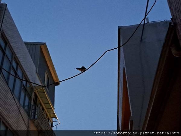 [台灣] 2024.5 腳踏車分段環島第一段 (上): 新店