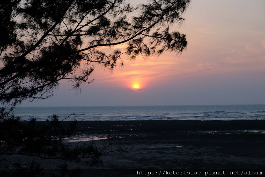 [台灣] 2024.5 腳踏車分段環島第一段 (上): 新店