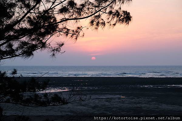 [台灣] 2024.5 腳踏車分段環島第一段 (上): 新店