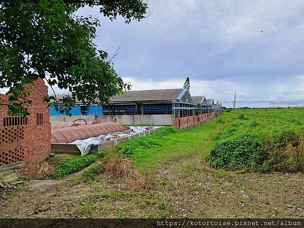 [台灣] 2024.6 腳踏車分段環島第二段 (上): 斗六