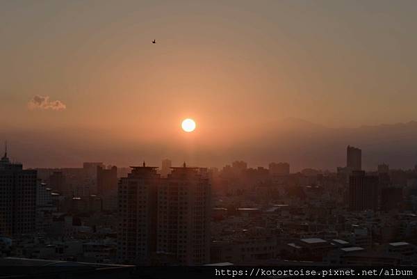 [台灣/台南] 2024.7 四天三夜 台南博物館之旅