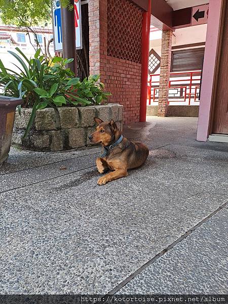 [台灣/台中] 2024.8 雪北下翠池一