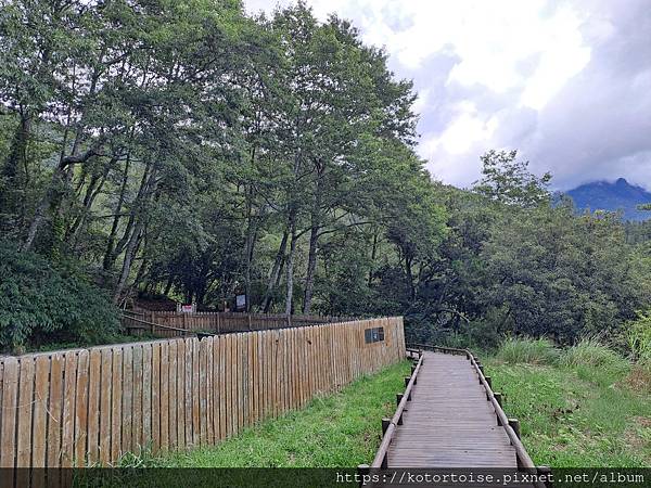 [台灣/台中] 2024.8 雪北下翠池一