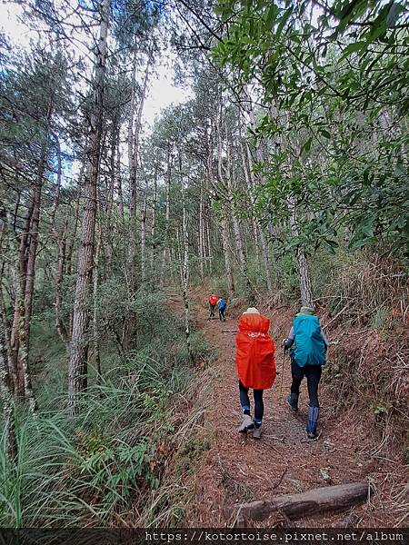 [台灣/台中] 2024.8 雪北下翠池一