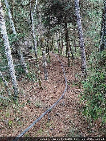 [台灣/台中] 2024.8 雪北下翠池一