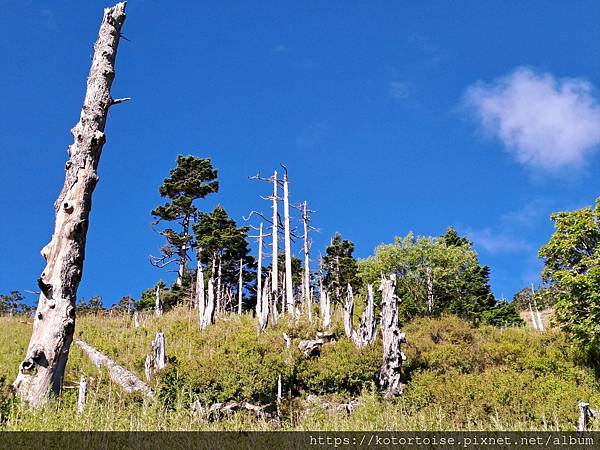 [台灣/台中] 2024.8 雪北下翠池 (中)