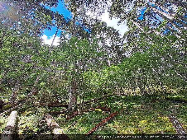 [台灣/台中] 2024.8 雪北下翠池 (中)