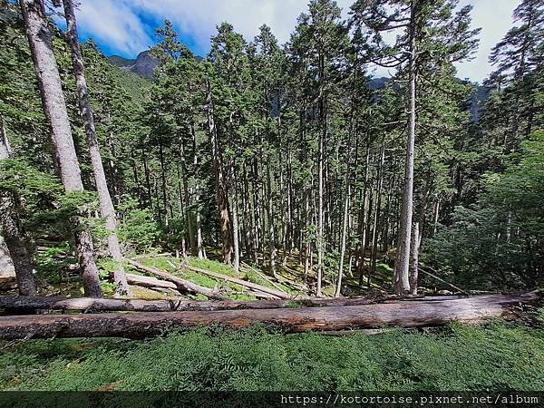 [台灣/台中] 2024.8 雪北下翠池 (中)