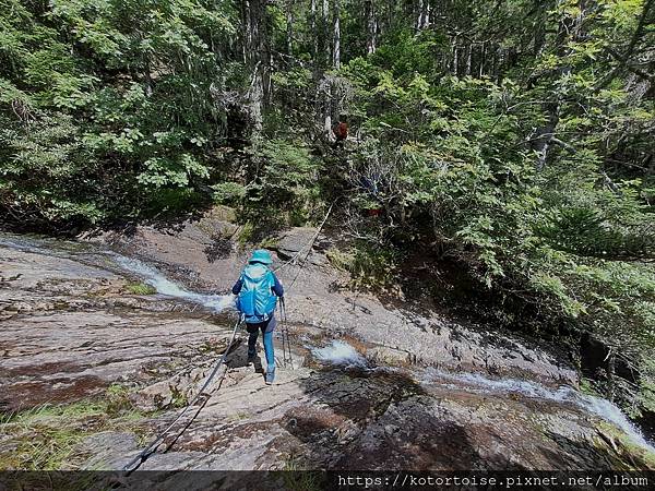 [台灣/台中] 2024.8 雪北下翠池 (中)