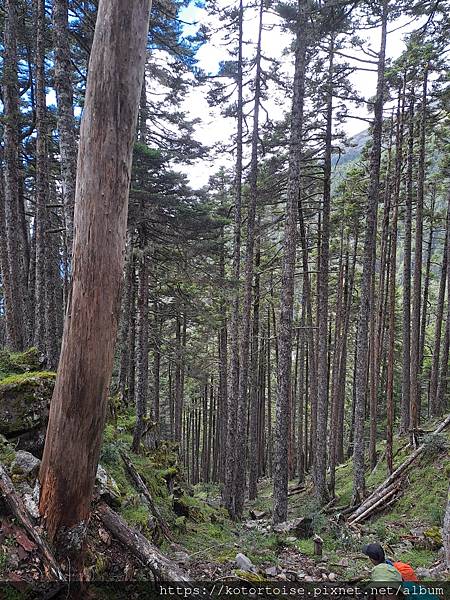 [台灣/台中] 2024.8 雪北下翠池 (中)